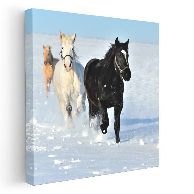 Karda Koşan Atlar - Özgürlüğün Beyaz Manzarasında Yarış Kanvas Tablo