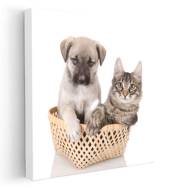 Sepetteki Dostlar - Yavru Köpek ve Kedi İkilisi Kanvas Tablo
