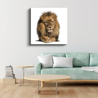 Aslan Portresi - Savanların Gururlu Kralı Kanvas Tablo