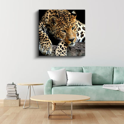 Benekli Leopar - Vahşi Doğanın Zarif Avcısı Kanvas Tablo