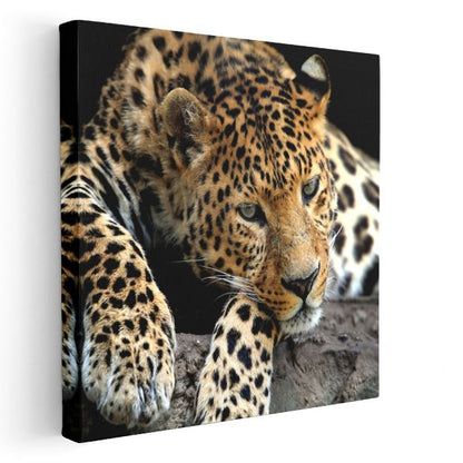 Benekli Leopar - Vahşi Doğanın Zarif Avcısı Kanvas Tablo