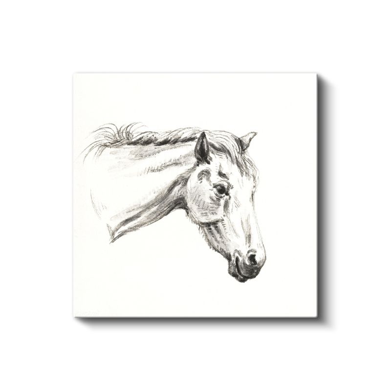 Karakalem At - Zarif Çizgilerle Betimlenen Asalet Kanvas Tablo