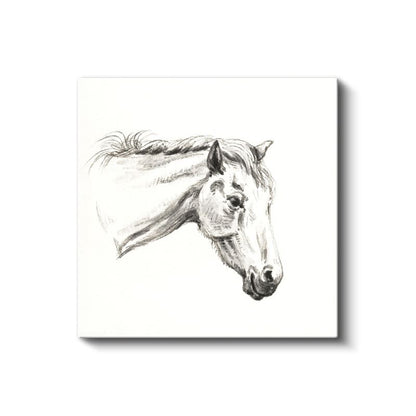 Karakalem At - Zarif Çizgilerle Betimlenen Asalet Kanvas Tablo