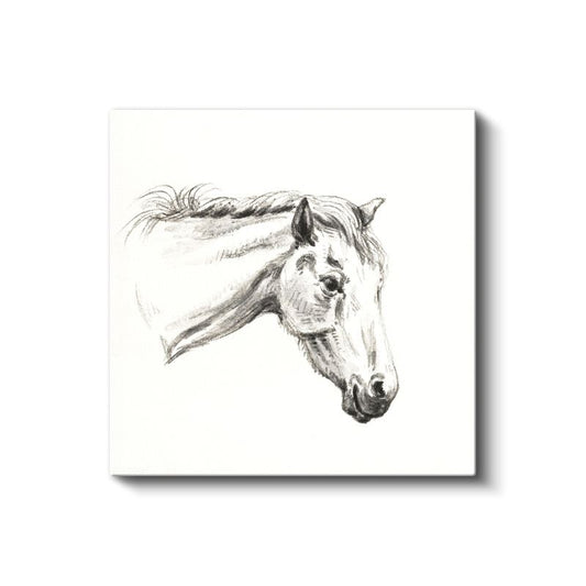 Karakalem At - Zarif Çizgilerle Betimlenen Asalet Kanvas Tablo