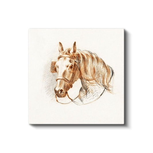 Kahverengi At Eskizi - Klasik Tarzda Çizilmiş Soylu Hayvan Kanvas Tablo