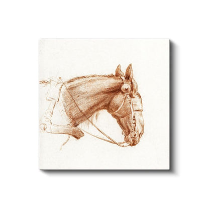 Koşum Takımlı At - Klasik Çizim Tarzında Asil Hayvan Kanvas Tablo