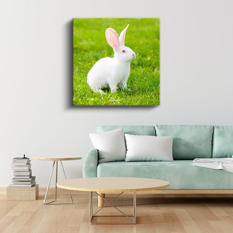 Beyaz Tavşan - Çimenlerde Meraklı Bakışlar Kanvas Tablo