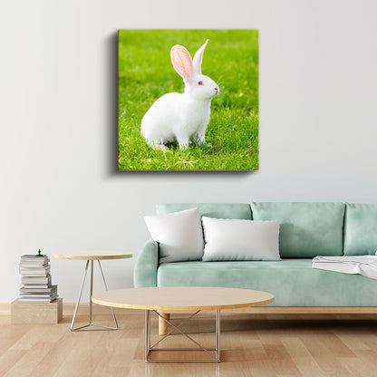 Beyaz Tavşan - Çimenlerde Meraklı Bakışlar Kanvas Tablo