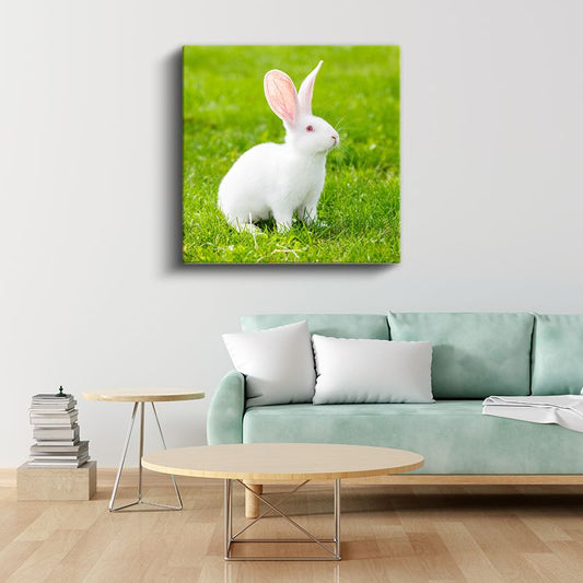 Beyaz Tavşan - Çimenlerde Meraklı Bakışlar Kanvas Tablo