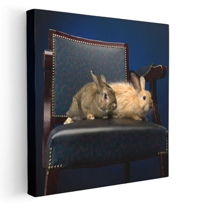 Koltukta Tavşanlar - Zarif İkili Dostluk Portresi Kanvas Tablo