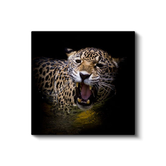 Kükreyen Jaguar - Vahşi Doğanın Güçlü Sesi Kanvas Tablo