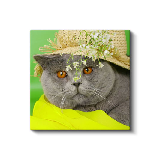 Şapkalı Kedi - Bahar Stilinde Sevimli Dost Kanvas Tablo