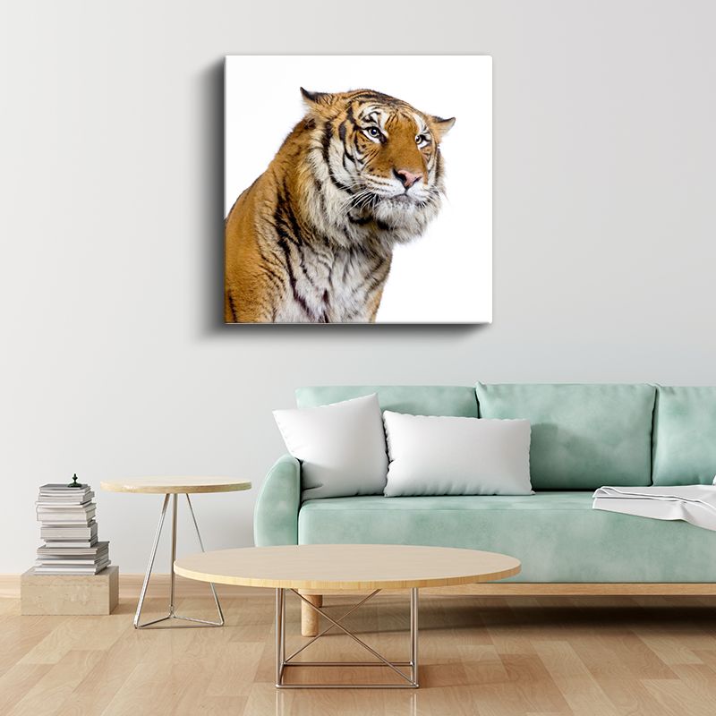 Kaplan Portresi - Asil Bakışların Yakın Çekimi Kanvas Tablo