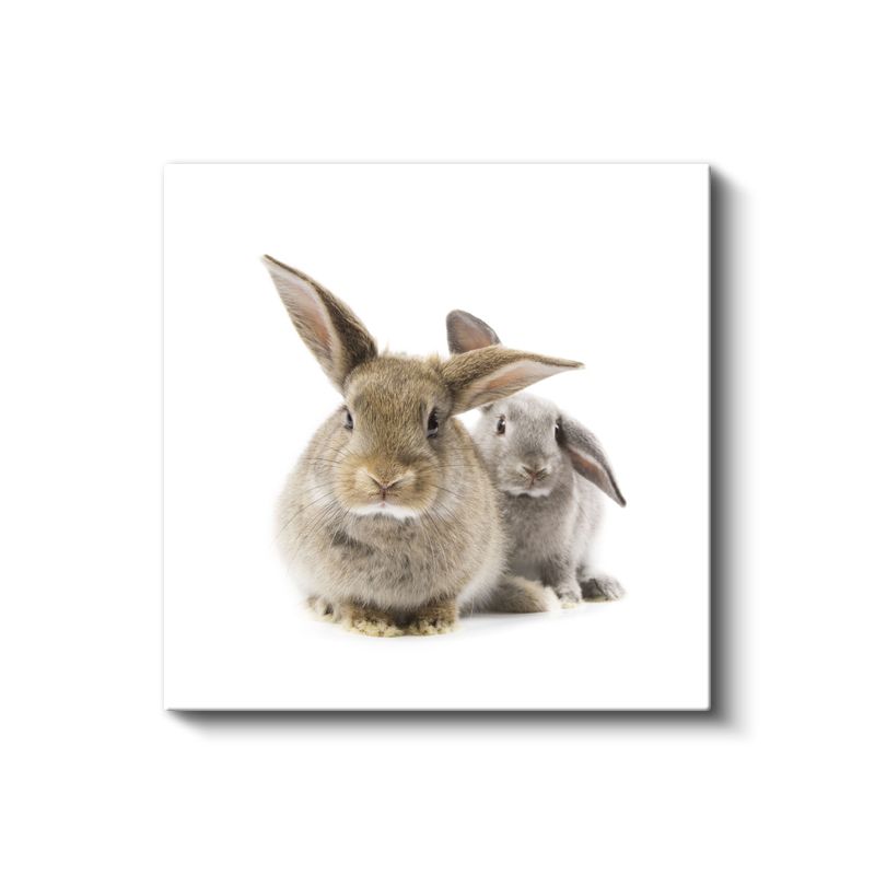 Tavşan Dostluğu - Sevimli İkilinin Yumuşak Dünyası Kanvas Tablo