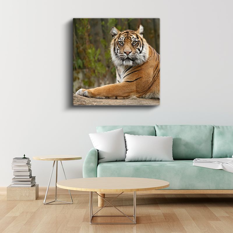 Dinlenen Kaplan - Doğal Yaşamın Huzurlu Anı Kanvas Tablo