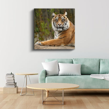 Dinlenen Kaplan - Doğal Yaşamın Huzurlu Anı Kanvas Tablo