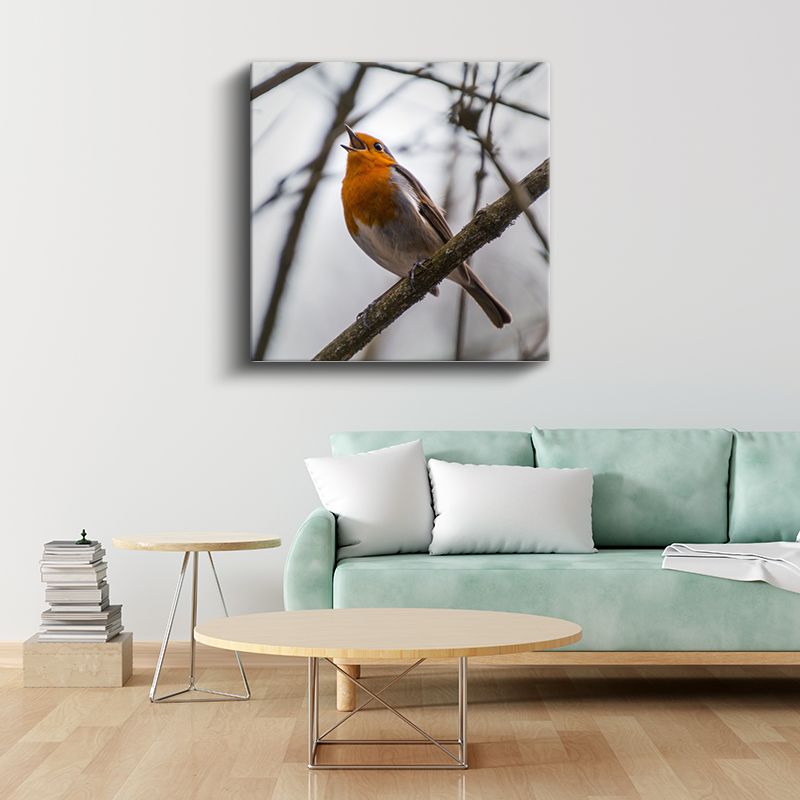 Şarkı Söyleyen Kızılgerdan - Dal Üzerinde Neşeli Kuş Kanvas Tablo