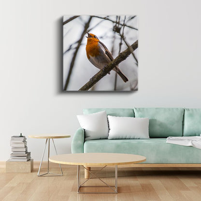 Şarkı Söyleyen Kızılgerdan - Dal Üzerinde Neşeli Kuş Kanvas Tablo