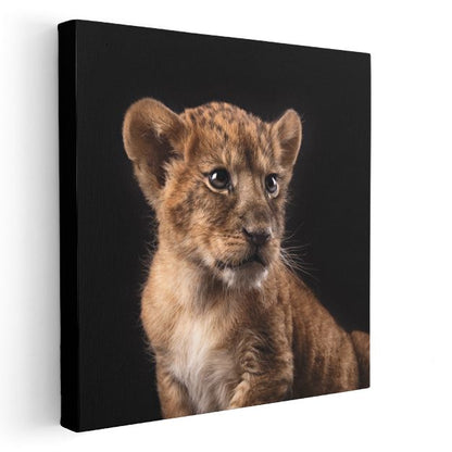 Aslan Yavrusu Portresi - Gelecekteki Orman Kralının Gücü Kanvas Tablo