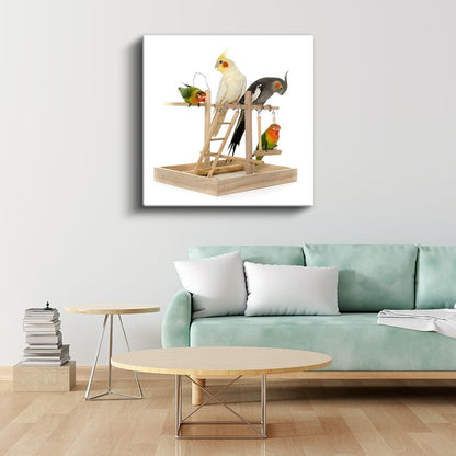 Renkli Muhabbet Kuşları - Oyun Parkında Neşeli Dostlar Kanvas Tablo