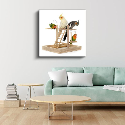Renkli Muhabbet Kuşları - Oyun Parkında Neşeli Dostlar Kanvas Tablo