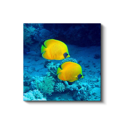 Sarı Mercan Balıkları - Mavi Derinliklerin İkili Dansı Kanvas Tablo