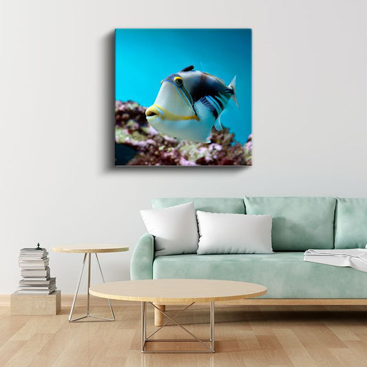 Tropikal Tetik Balığı - Mercan Resiflerinin Zarif Yüzücüsü Kanvas Tablo