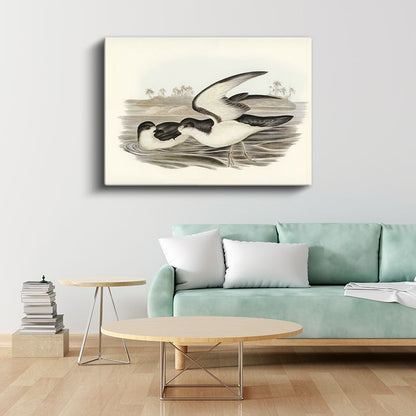 Vintage Deniz Kuşları - Sahilde Kanat Çırpan İkili Kanvas Tablo