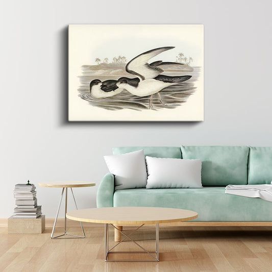 Vintage Deniz Kuşları - Sahilde Kanat Çırpan İkili Kanvas Tablo