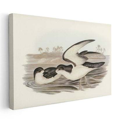 Vintage Deniz Kuşları - Sahilde Kanat Çırpan İkili Kanvas Tablo