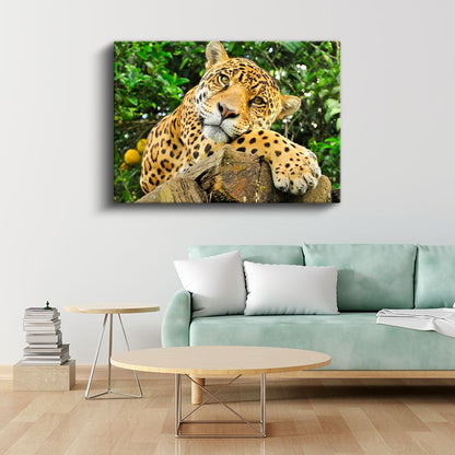 Ağaç Kütüğündeki Jaguar - Yağmur Ormanlarının Benekli Avcısı Kanvas Tablo