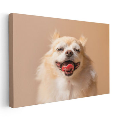 Gülümseyen Chihuahua - Mutlu Anların Sevimli Dostu Kanvas Tablo