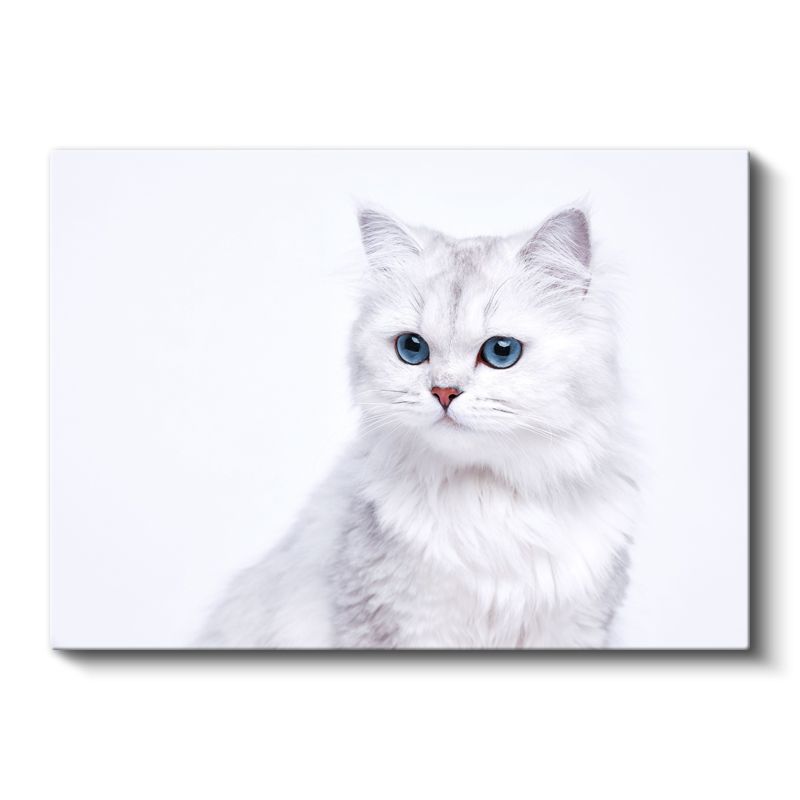 Beyaz Kedi - Mavi Gözlerin Saf Güzelliği Kanvas Tablo
