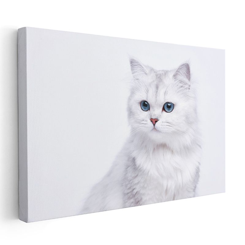 Beyaz Kedi - Mavi Gözlerin Saf Güzelliği Kanvas Tablo