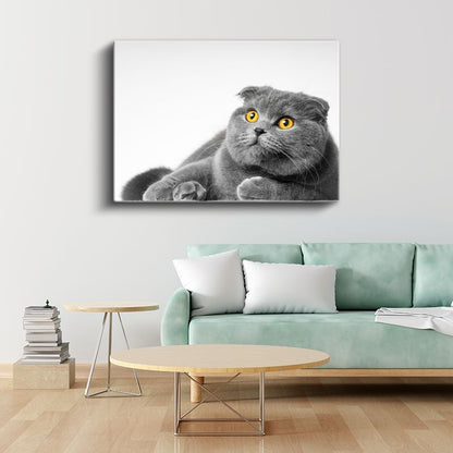 Sarı Gözlü Kedi - Gri Tüylerin Asil Bakışı Kanvas Tablo