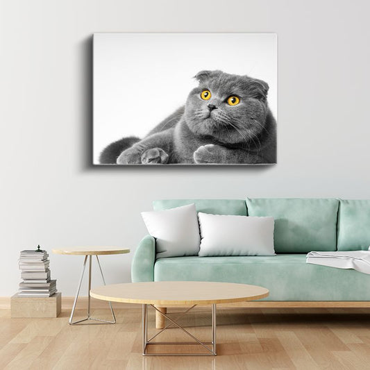 Sarı Gözlü Kedi - Gri Tüylerin Asil Bakışı Kanvas Tablo