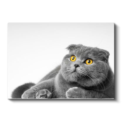 Sarı Gözlü Kedi - Gri Tüylerin Asil Bakışı Kanvas Tablo