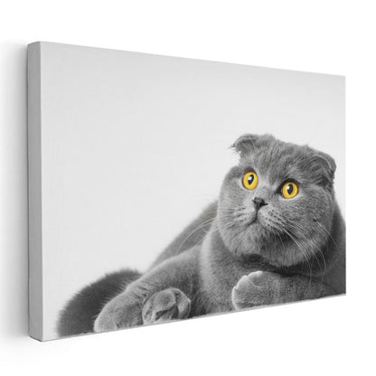 Sarı Gözlü Kedi - Gri Tüylerin Asil Bakışı Kanvas Tablo