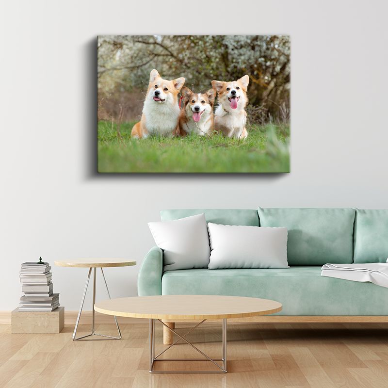 Corgi Üçlüsü - Çimenlerde Neşeli Dostlar Kanvas Tablo