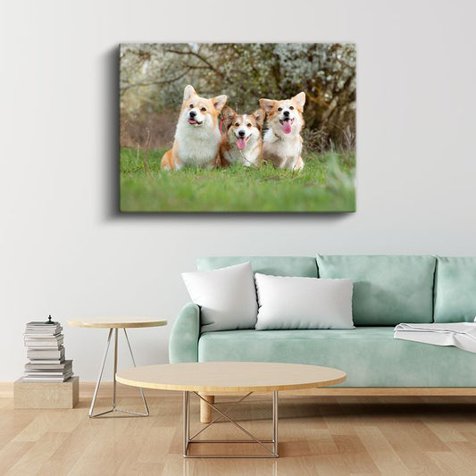 Corgi Üçlüsü - Çimenlerde Neşeli Dostlar Kanvas Tablo