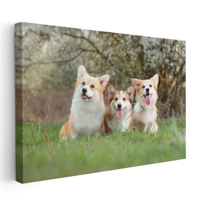 Corgi Üçlüsü - Çimenlerde Neşeli Dostlar Kanvas Tablo