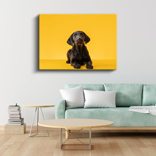 Siyah Labrador Yavrusu - Sarı Zeminde Sevimli Bakışlar Kanvas Tablo