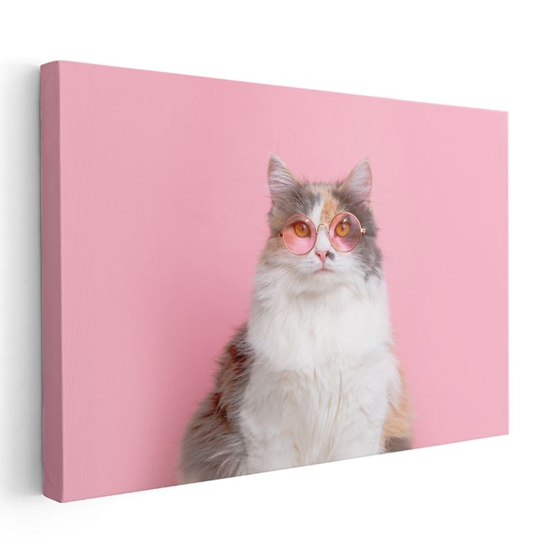 Gözlüklü Kedi - Pembe Dünyada Şık Duruş Kanvas Tablo
