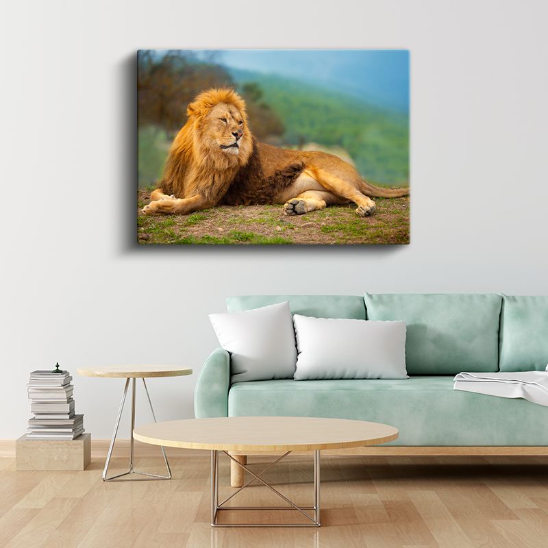 Dinlenen Aslan - Savanada Huzurlu Anlar Kanvas Tablo