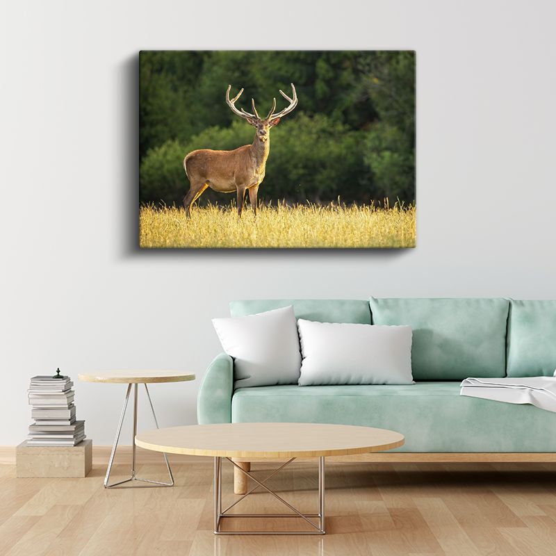 Boynuzlu Geyik - Altın Sarısı Çayırda Heybetli Bekleyiş Kanvas Tablo