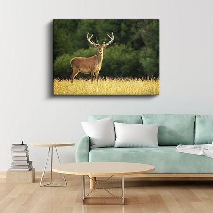 Boynuzlu Geyik - Altın Sarısı Çayırda Heybetli Bekleyiş Kanvas Tablo
