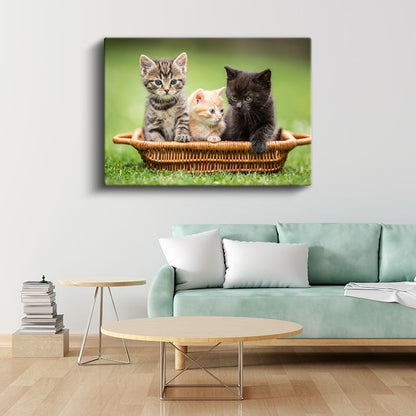 Sepetteki Yavru Kediler - Üç Renk Üç Sevimli Dost Kanvas Tablo