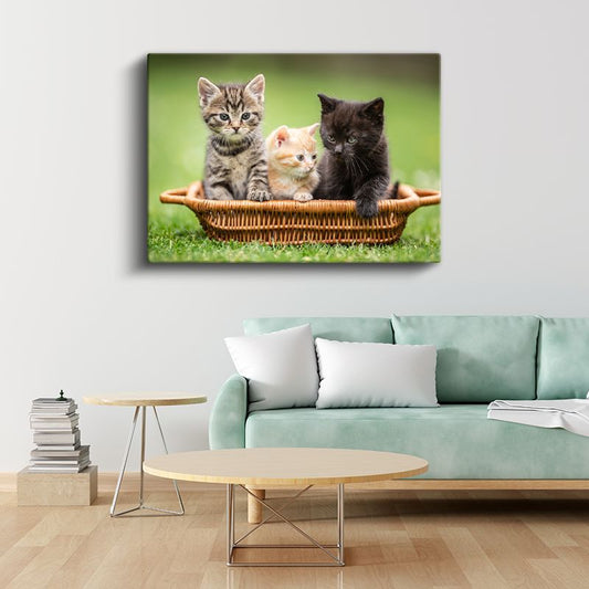 Sepetteki Yavru Kediler - Üç Renk Üç Sevimli Dost Kanvas Tablo