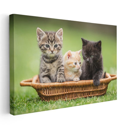 Sepetteki Yavru Kediler - Üç Renk Üç Sevimli Dost Kanvas Tablo