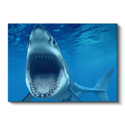 Avcı Köpekbalığı - Derin Maviliklerde Tehlikeli Yüzgeçli Kanvas Tablo